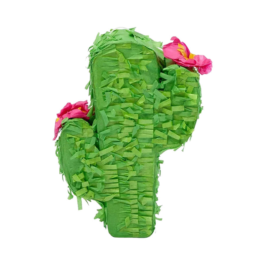 A & E Cages Happy Beaks Prefilled Pinata Foraging Bird Toy Cactus, 1ea/1.8 oz-