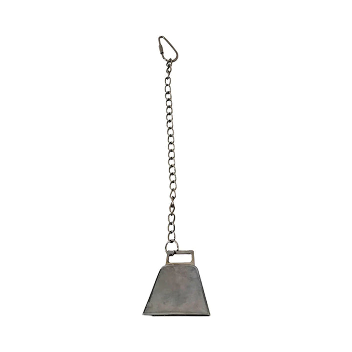 A & E Cages Happy Beaks Silver Bird Bell on Chain Bird Toy 1ea/LG-