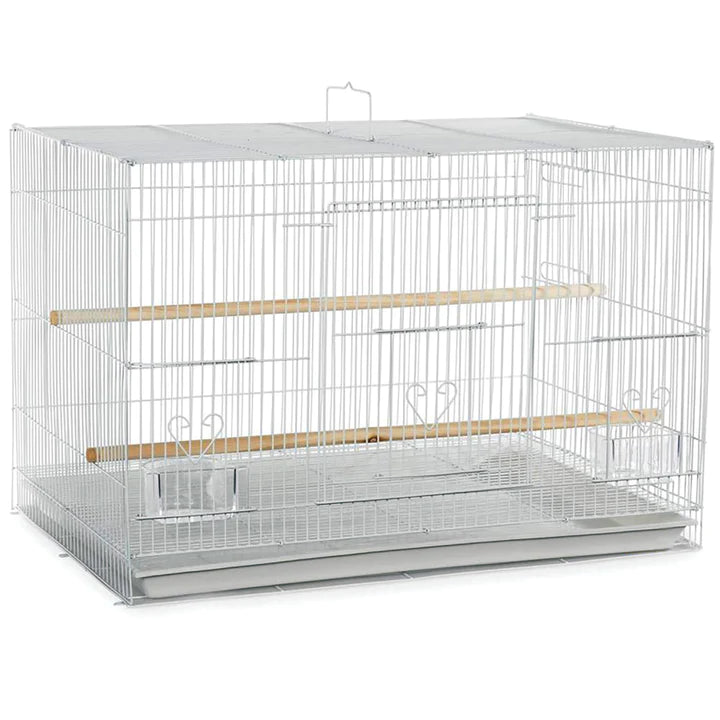 A & E Cages Flight Cage in Color Retail Box White 24in X 16in-