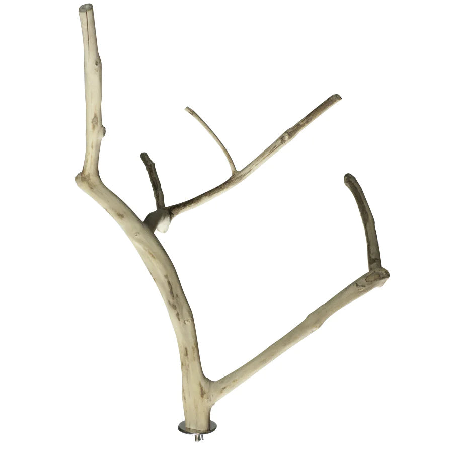 A and E Cages Java Wood Multi Branch Bird Perch MD-