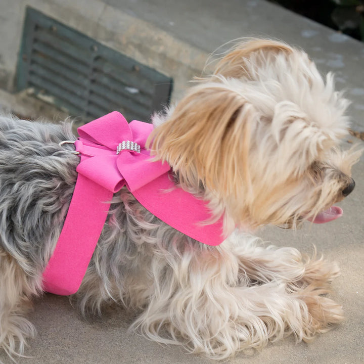 Nouveau Bow Tinkie Harness-