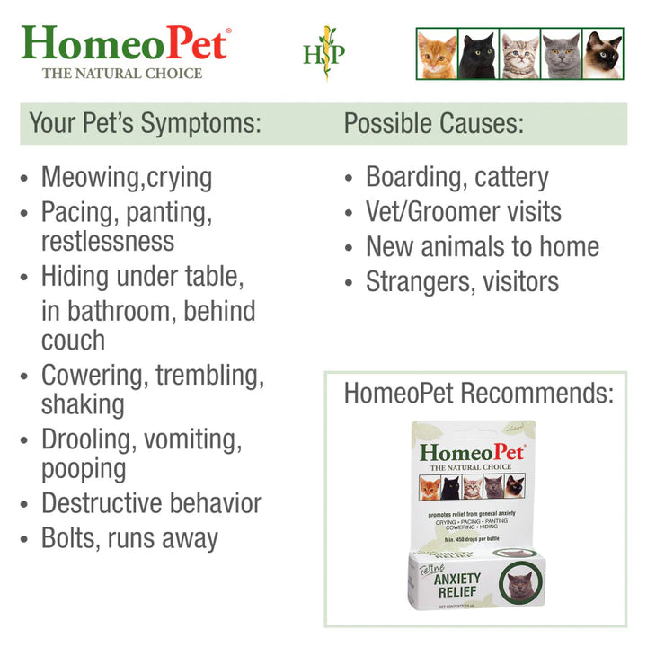 HomeoPet Feline Anxiety Relief Drops 1ea/15 ml-