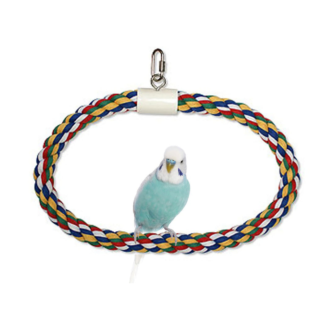 JW Pet Swing N Perch Ring Multi-Color 1ea/LG-