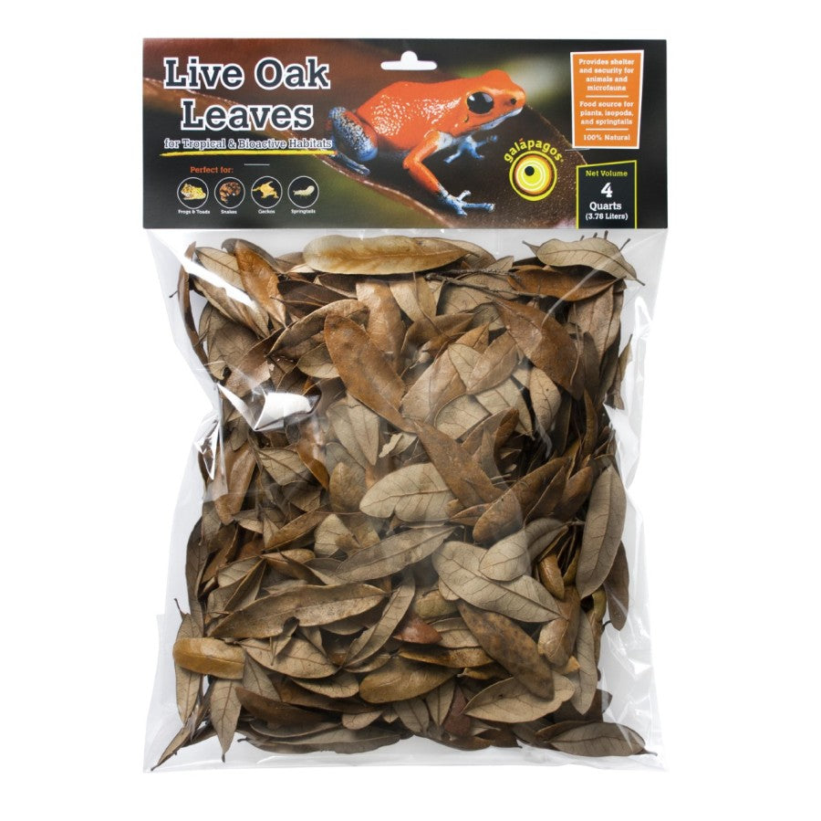 Galapagos Natural Live Oak Leaf Litter 1ea/4 qt-