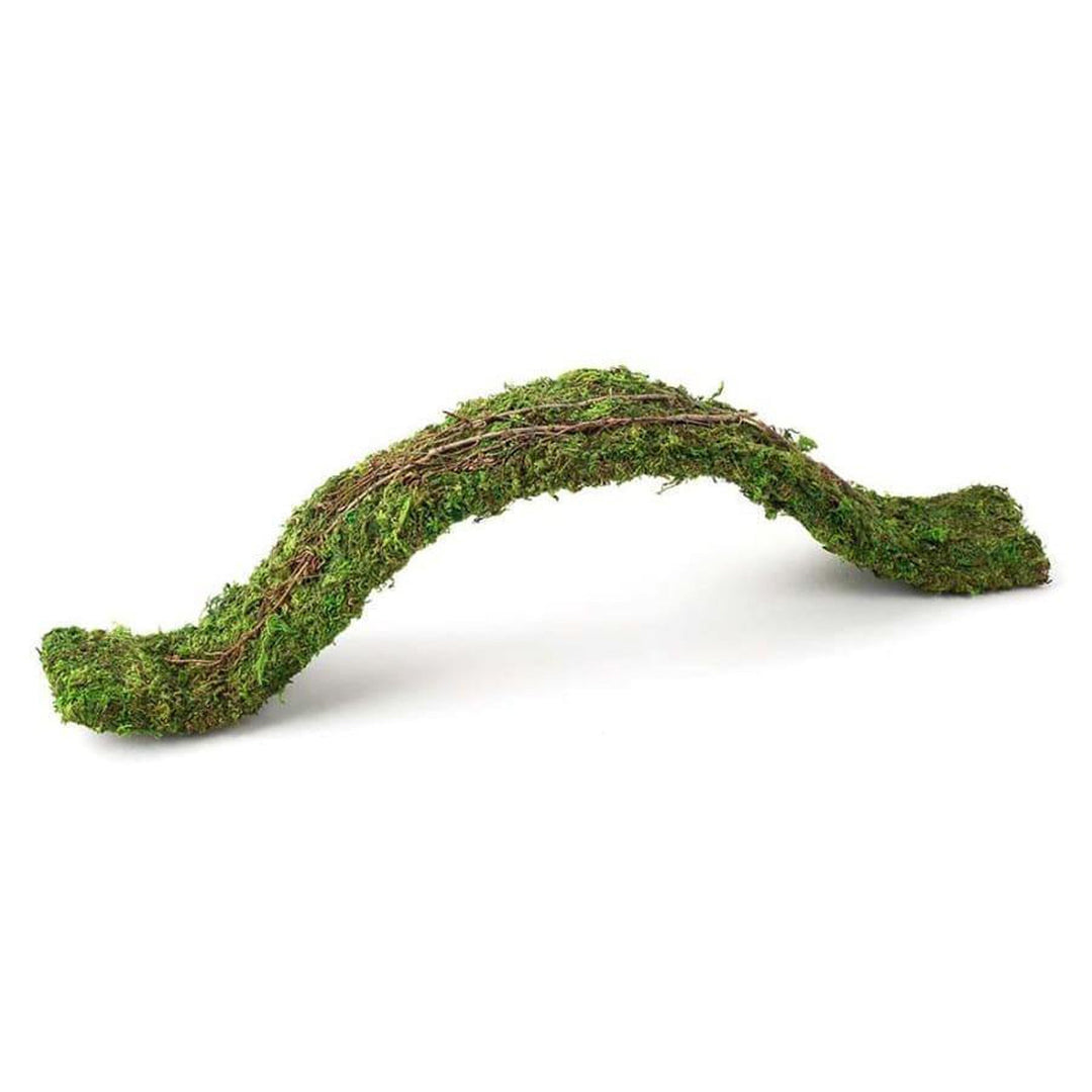 Galapagos Flexible Bridge Terrarium Ornament Fresh Green 1ea/2 ft-