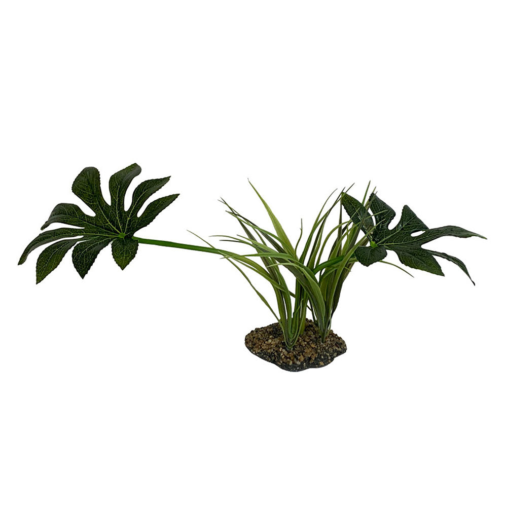 Komodo Jungle Canopy Plant 1ea/42 cm-