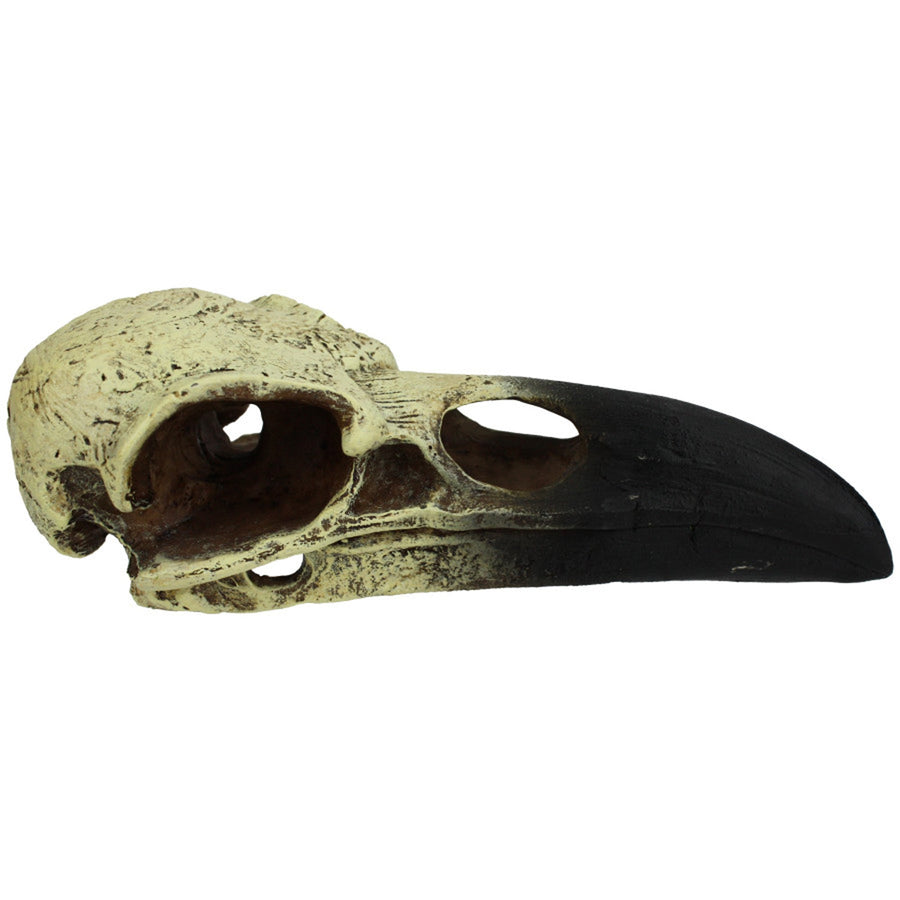 Komodo Raven Skull Hideout 1ea/LG, 18 in-