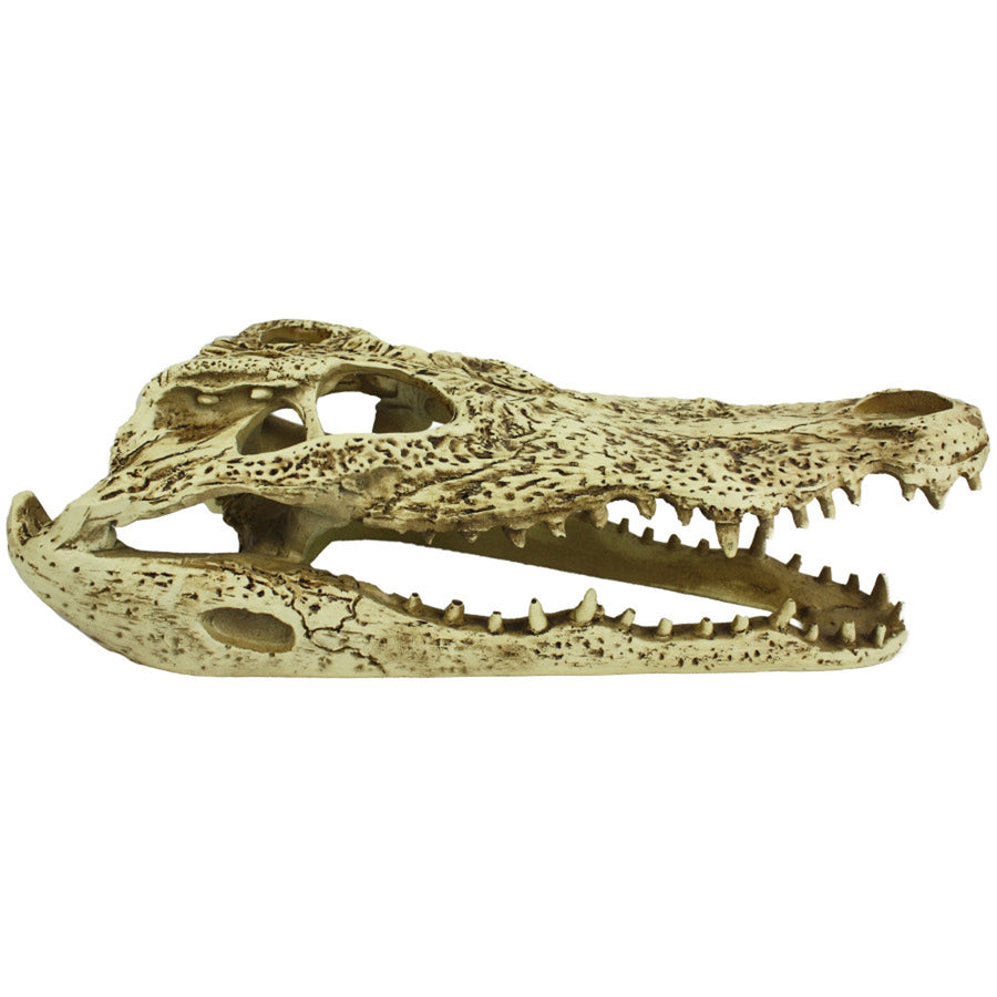Komodo Alligator Skull Hideout 1ea/9 in-
