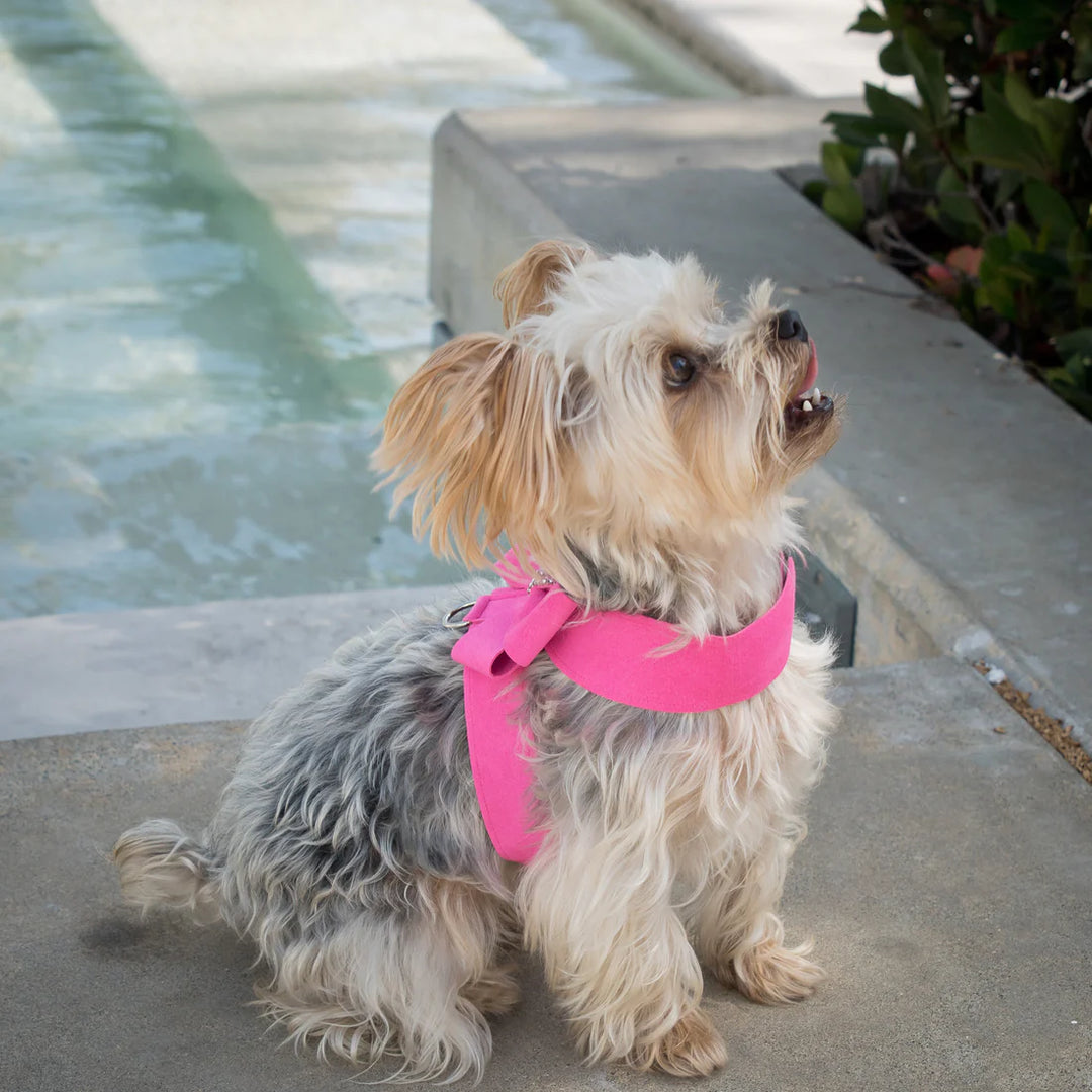 Nouveau Bow Tinkie Harness-