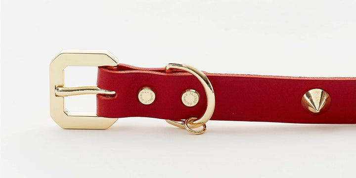 Golden Spike Red Collar-