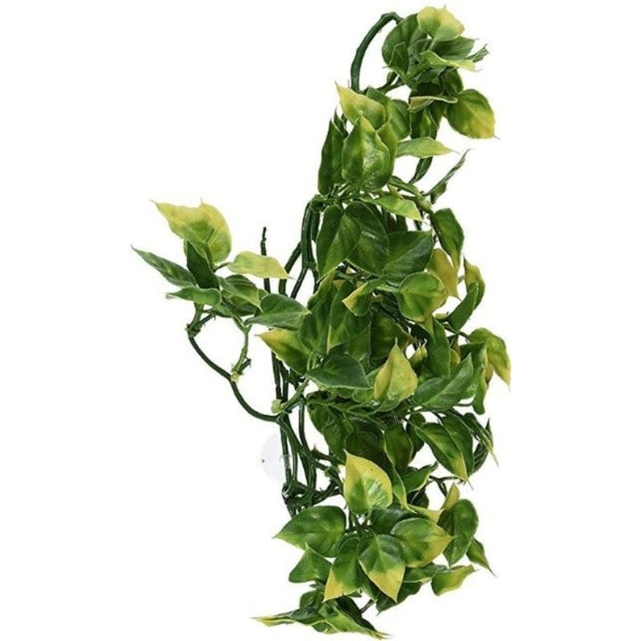 Exo-Terra Amapallo Forest Shrub - Medium (16"L x 7"W)-