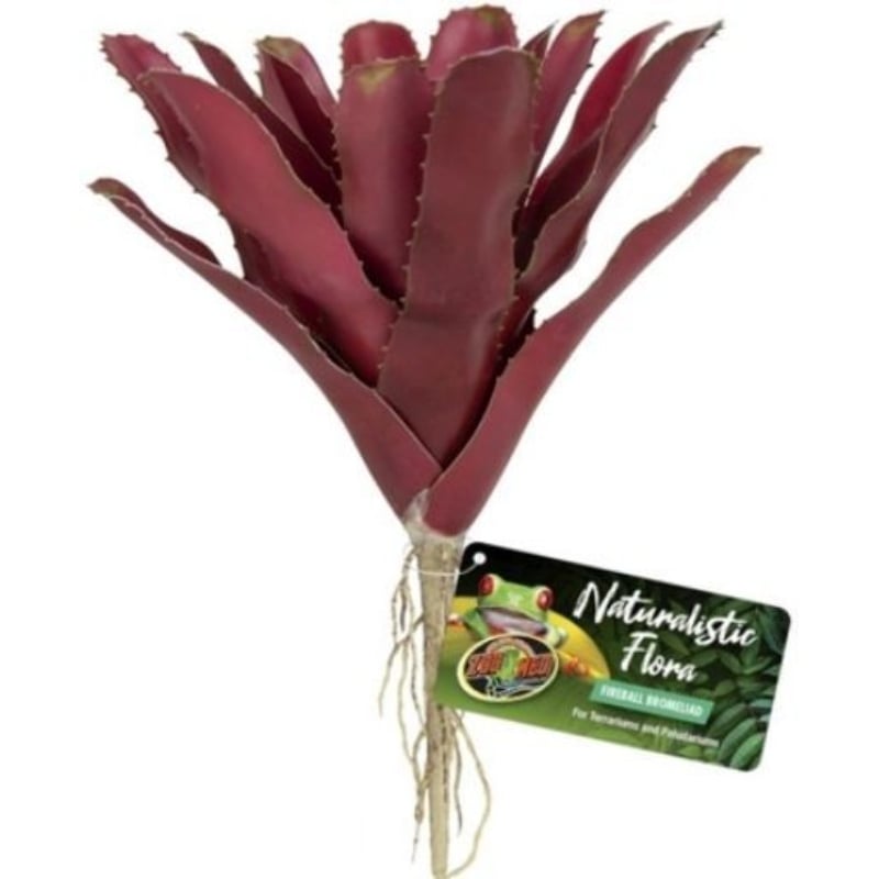 Zoo Med Naturalistic Flora Fireball Bromeliad - 1 count-