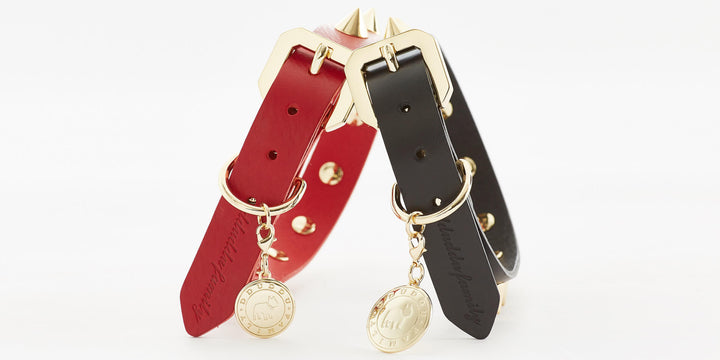 Golden Spike Red Collar-