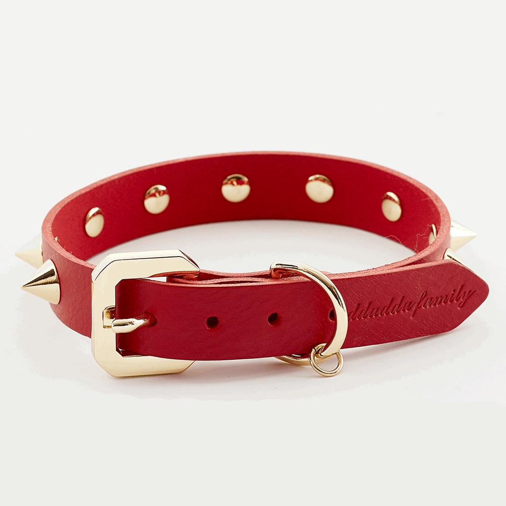 Golden Spike Red Collar-