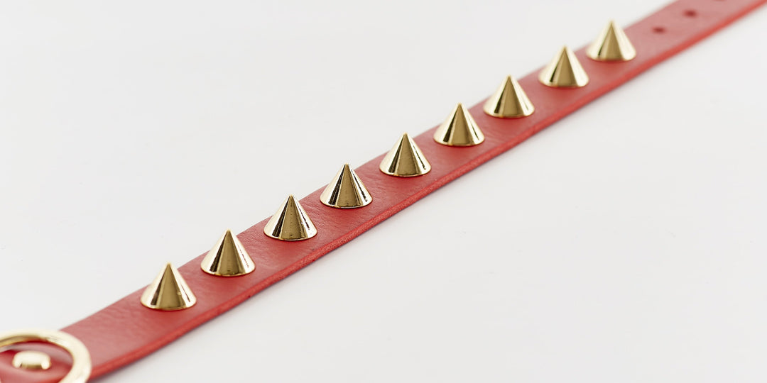 Golden Spike Red Collar-