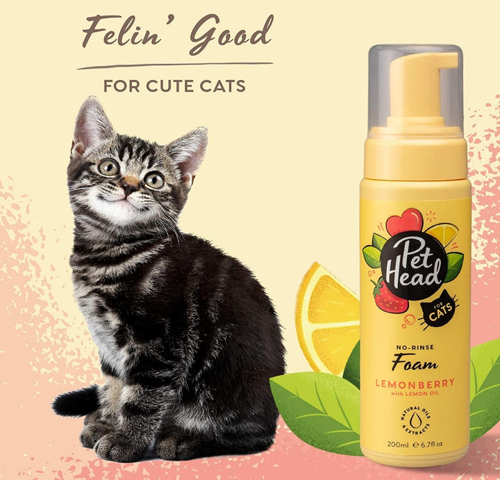 Pet Head No-Rinse Foam for Cats Lemonberry with Lemon Oil - 6.7 oz-