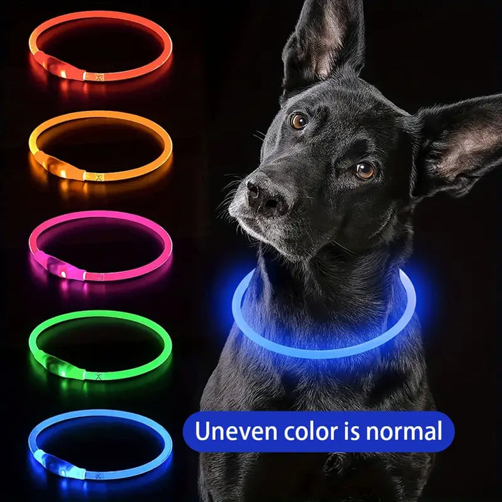 Dog LED Light Collar