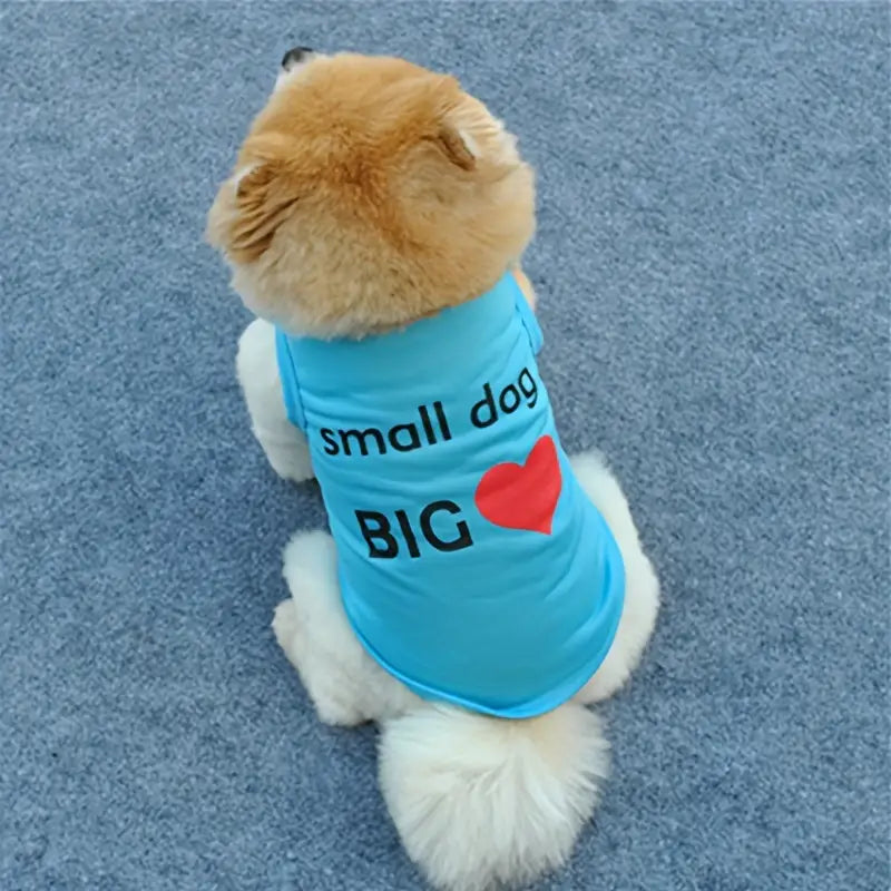 Small dog big heart dog Vest for Summer Fun