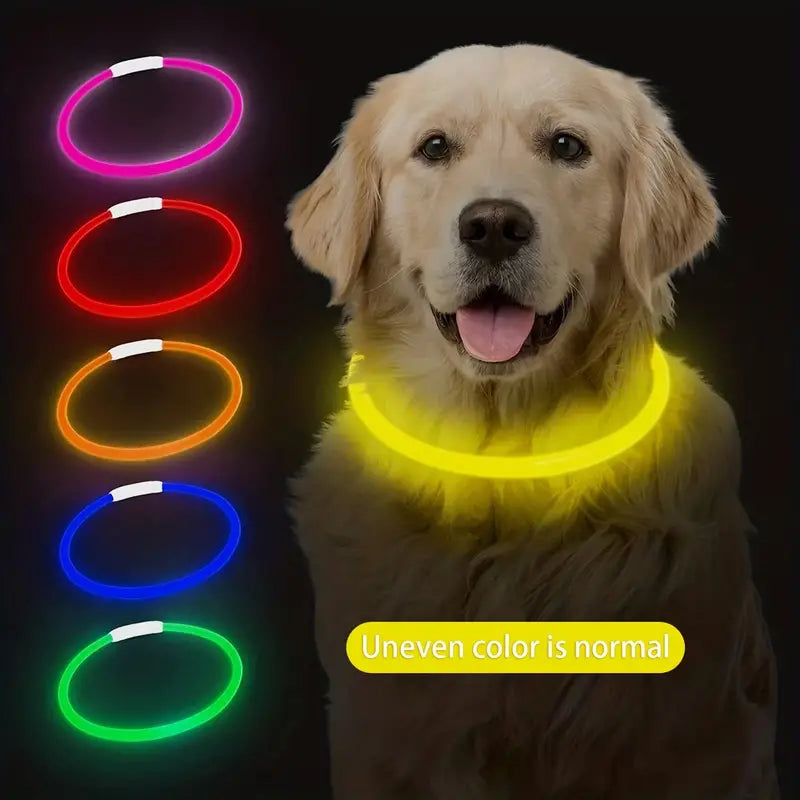 Dog LED Light Collar