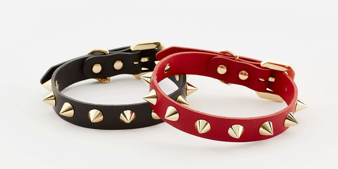 Golden Spike Red Collar-