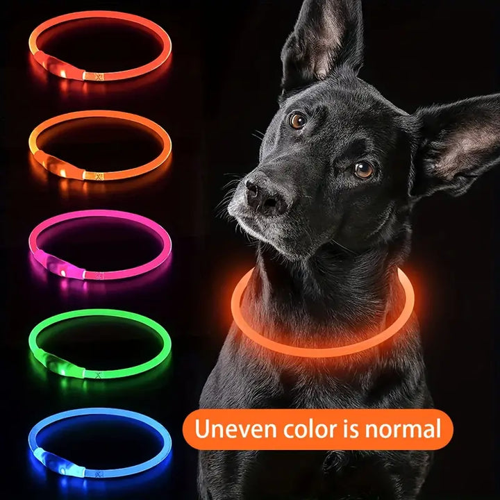 Dog LED Light Collar