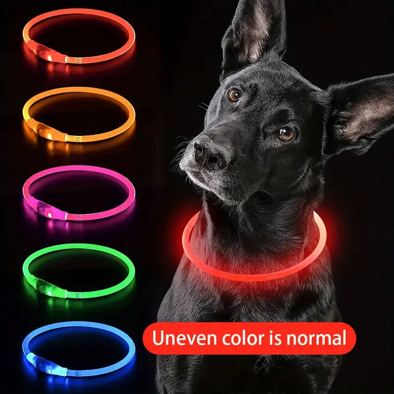 Dog LED Light Collar