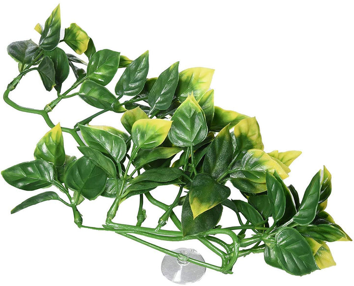 Exo-Terra Amapallo Forest Shrub - Small (12" Long x 6" Wide)-