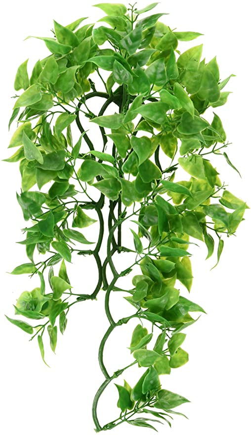 Zoo Med Natural Bush - Mexican Phyllo Aquarium Plant - Small (14" Tall)-