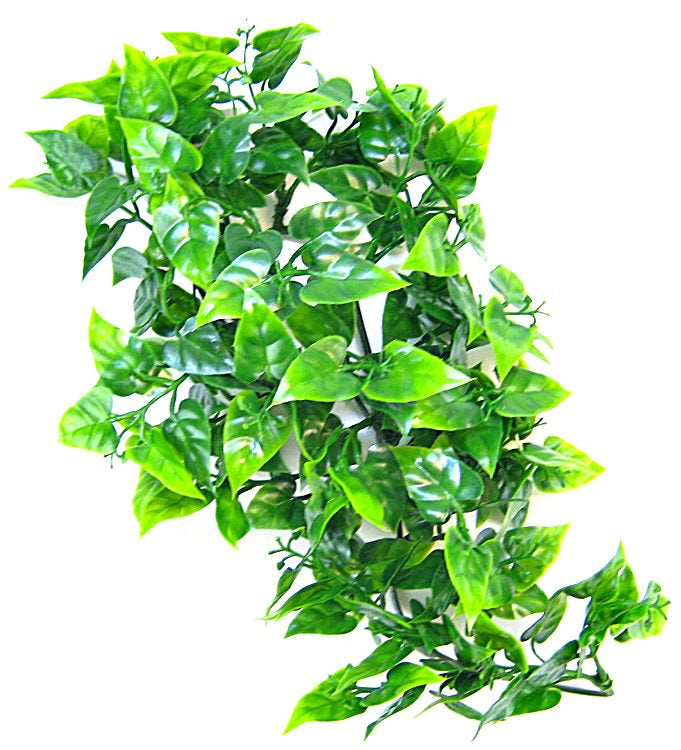 Zoo Med Natural Bush - Mexican Phyllo Aquarium Plant - Small (14" Tall)-