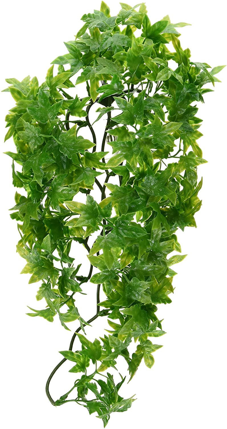 Zoo Med Natural Bush - Congo Ivy Aquarium Plant - Medium (12"-15" Tall)-