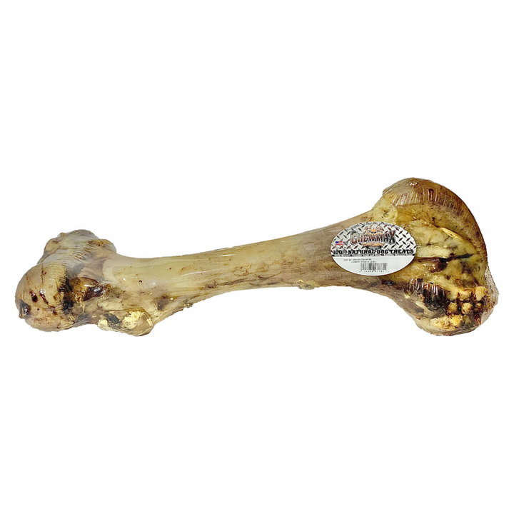 Femur Beef Bone-