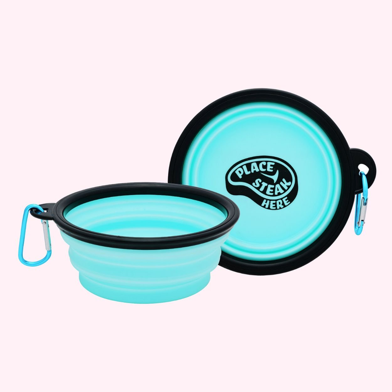 "Place Steak Here" Aqua Dog Bowl-1-