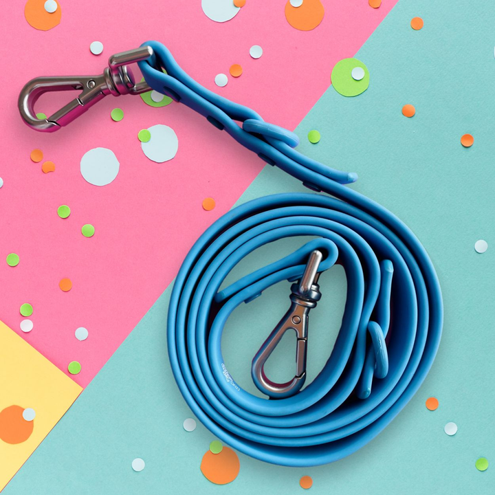 "Pet Me or I'll Bite You" Blue Leash-1-